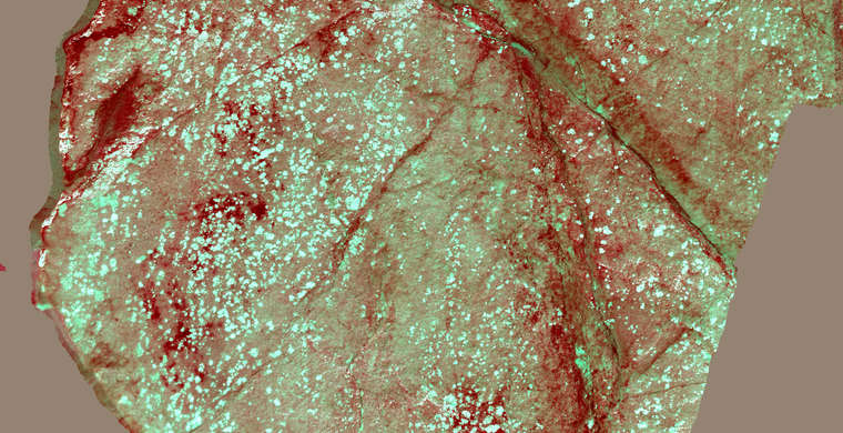 Ortofotografía Abrigo II, panel 3. Tratamiento DStretch YRE20