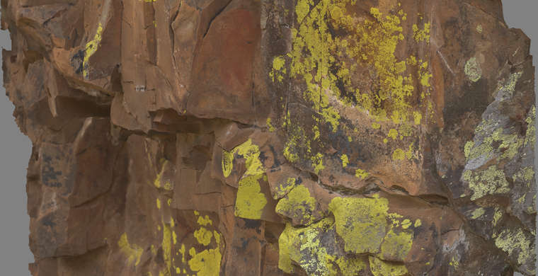 Ortoimagen Canchal de Mahoma III, panel 2