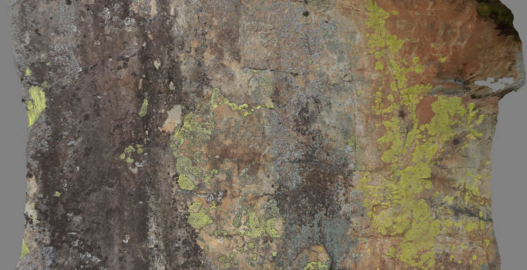 Ortofoto Canchal de la Pizarra IV, panel 1