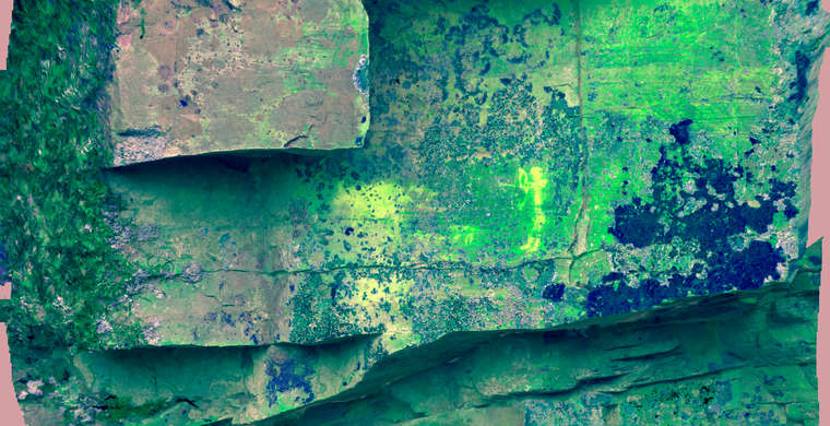 Ortofotografía Canchal de las Torres II, panel 8. Tratamiento DStretch YYE10 ac hs68
