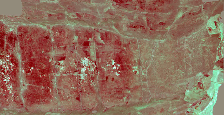 Ortoimagen Majadilla de las Torres I, panel 8. Tratamiento DStretch YRE10