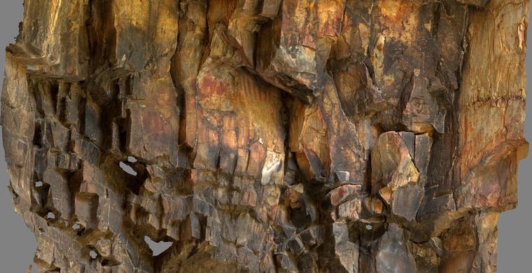 Ortoimagen Majadilla de las Torres I, panel 11
