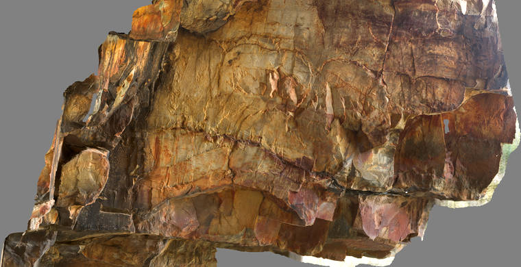 Ortoimagen Majadilla de las Torres I, panel 12