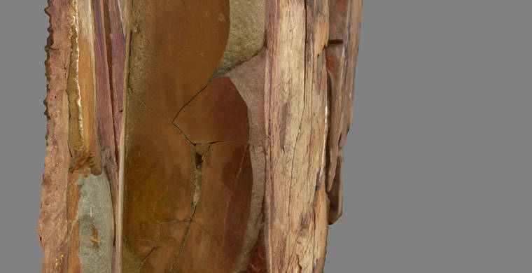 Ortoimagen Majadilla de las Torres I, panel 9