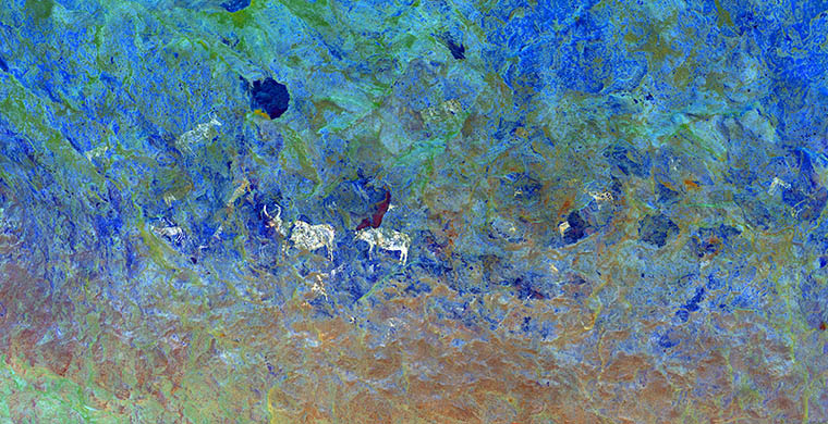 Panel Derecho, falso color