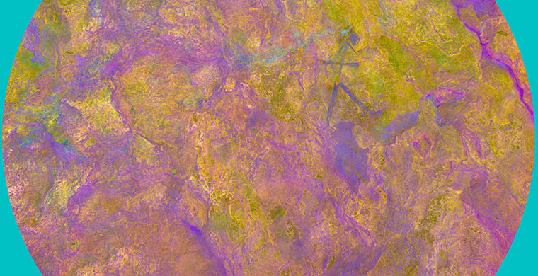 Techo, falso color